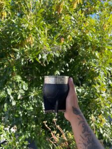 Imperial pelota campeón del mundo