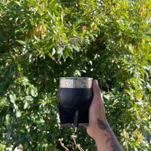 Imperial pelota campeón del mundo